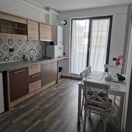 Didy's Place Apartment Navodari